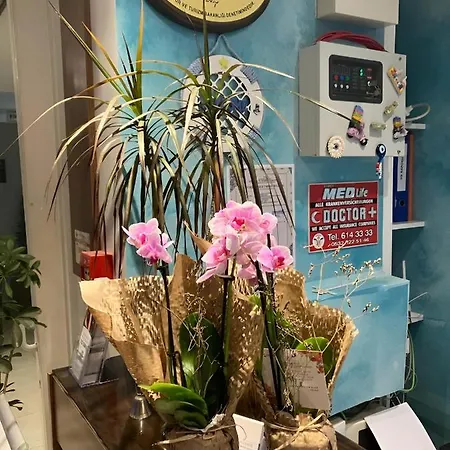 La Bella 酒店 库萨达斯